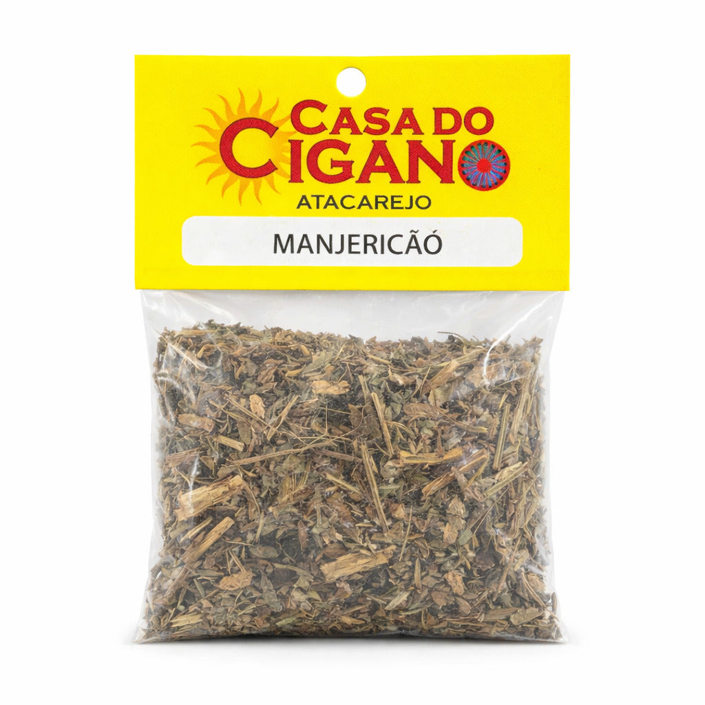 Erva Manjericão