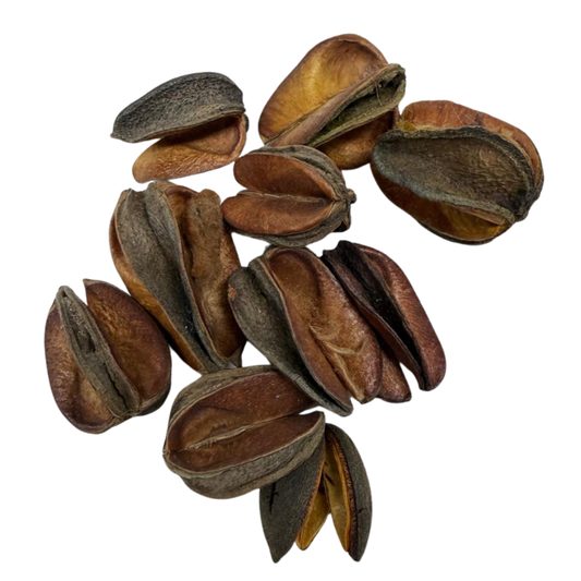 Fava Oxum Riqueza